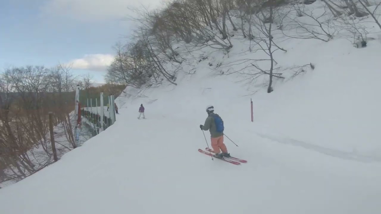Hakuba 47 top to bottom of gondola via the forest trail.