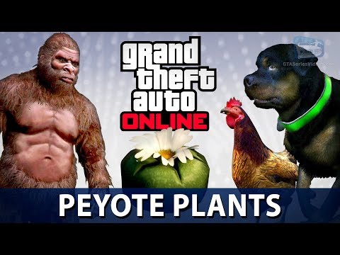 GTA Online Peyote Plant Locations 2021: Where To Find ALL 76 Peyote Plants
