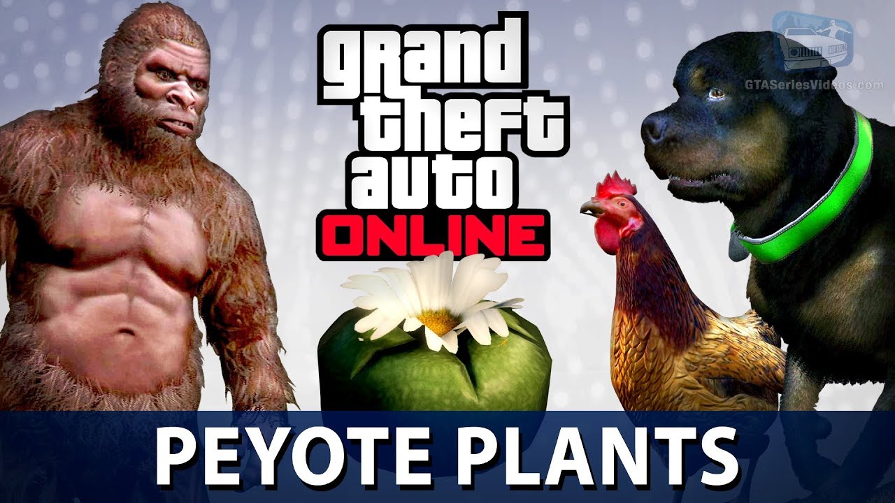 GTA Online - All 76 Peyote Plants Locations (Play as an Animal in GTA  Online) - YouTube