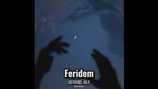 Notorious NVLN -Feridem trap (Slowed-Reverb) Resimi