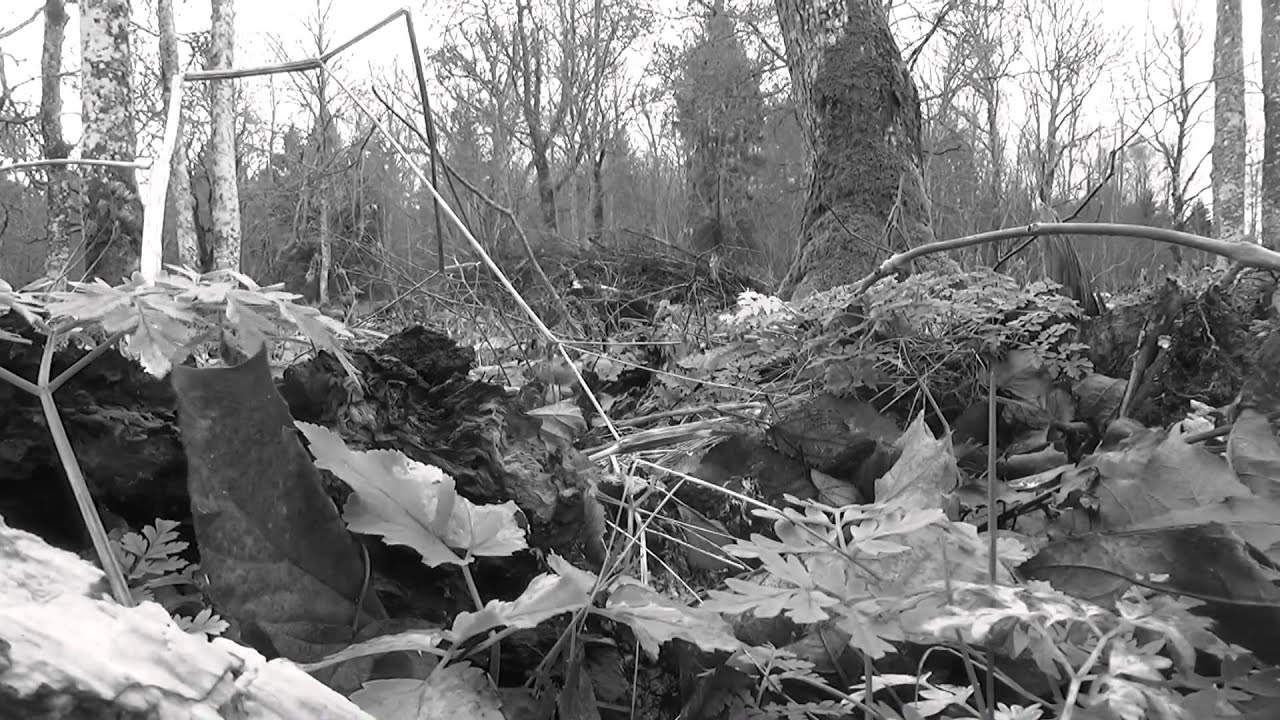 Life inside the mirror, trailer