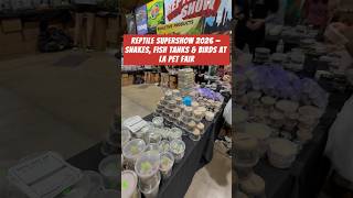 I Went to the 2026 Reptile Supershow in Pomona Reptiles Fish Birds
