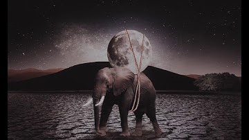 Fantacy Elephant//Speedart//Photoshop manipulation tutorial