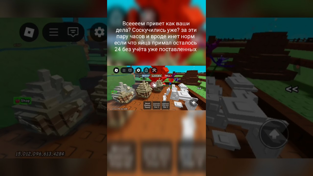 открытие примал яиц 