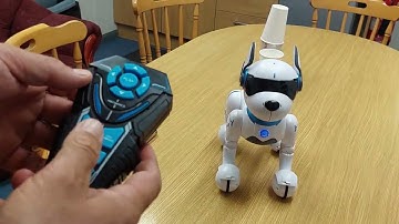 Robot Dog Unboxing And First Test #robotdog #robot #unbox