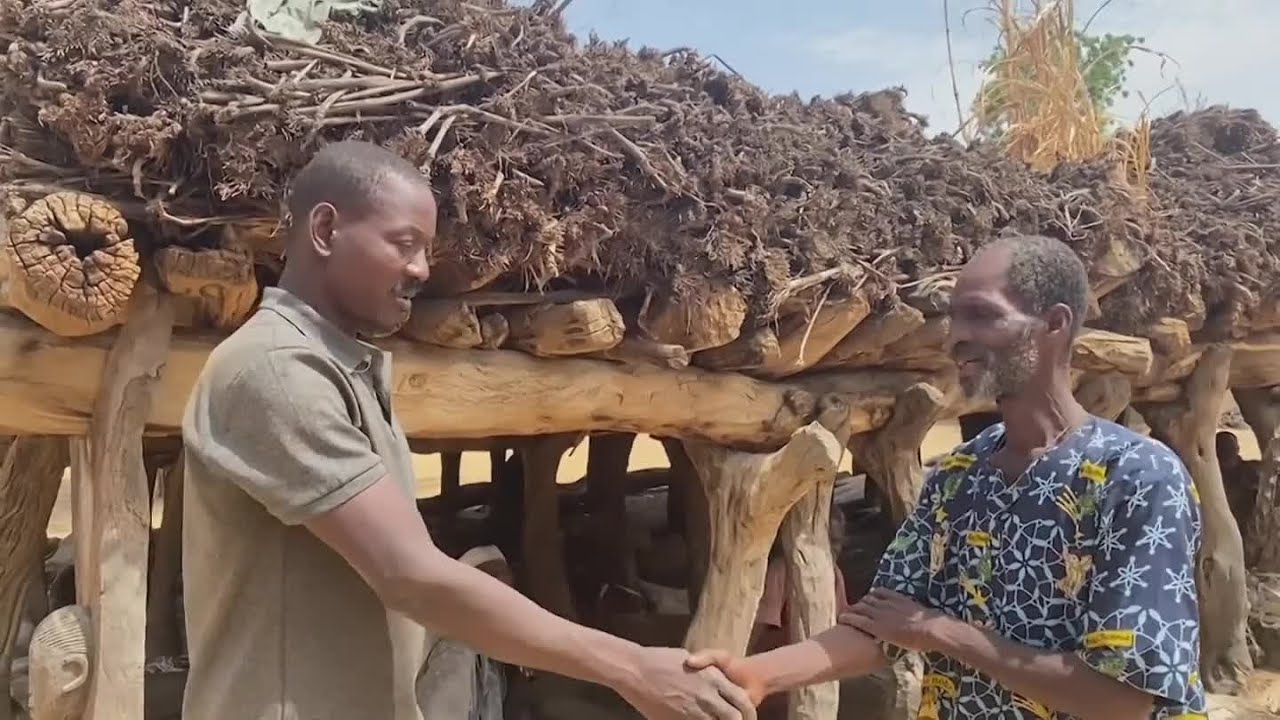 A la découverte du Togouna, la case à palabre en pays dogon