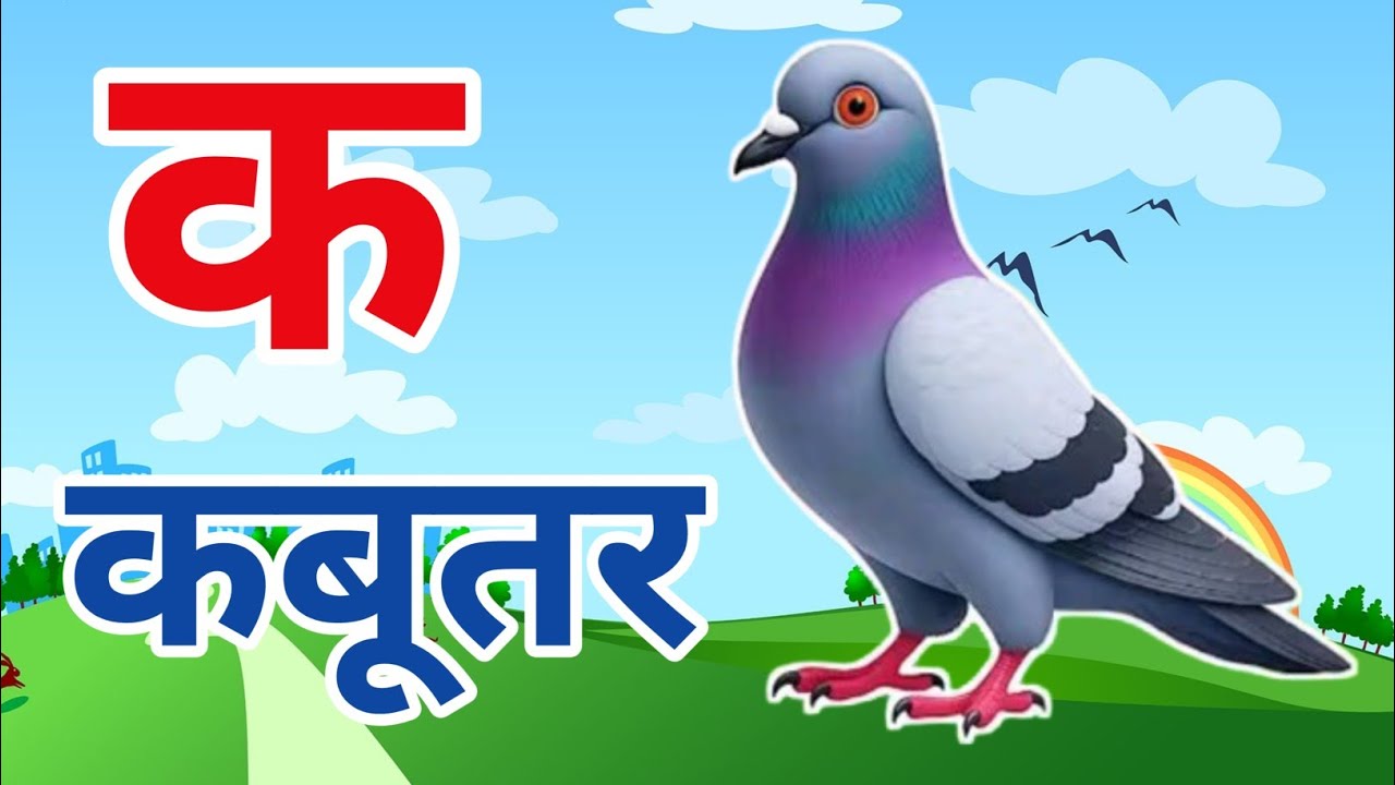 क से कबूतर| अ से अनार| a se anar ka se kabutar| Hindi varnmala|ABCD क से कबूतर|Alphabet For kids 
