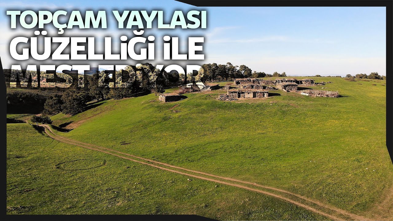 Topçam Yaylası Doğal Güzellikleri ile Görenleri Hayran Bırakıyor