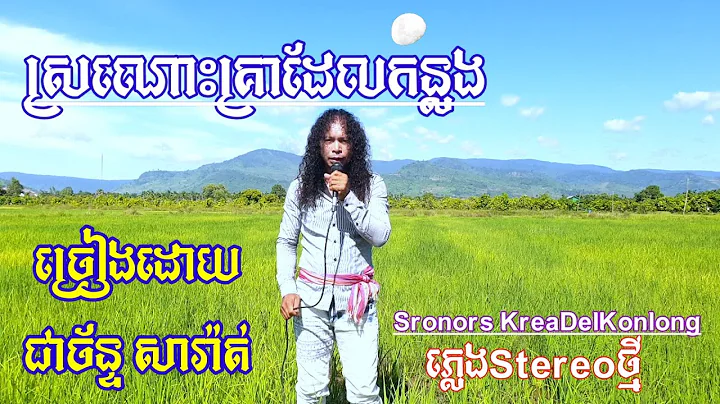 Cover      Sinsisamut,    Stereo