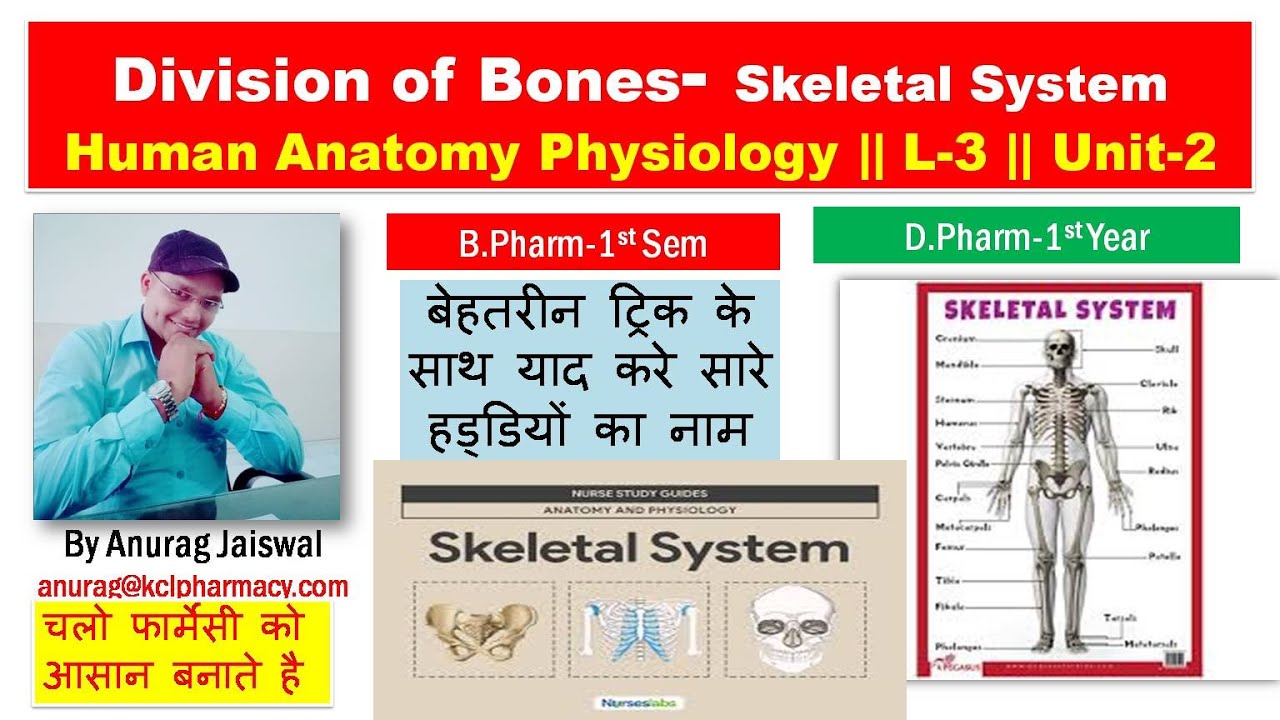 Division of Skeletal || L-3 Unit-2 HAP