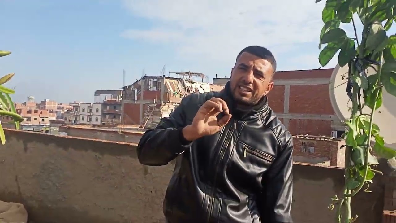 بسم الله ماشاء الله تبارك الله شجره ام الفواكه مع شجره دراجون ٠١٢٨٢٨٠٩٢٢٩