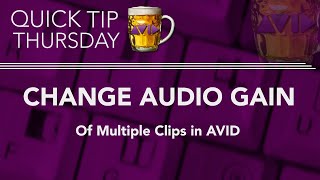 Change Audio Gain of Multiple Clips in AVID