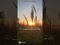 سورة الفاتحة عبدالرحمن مسعد سورة الفاتحة عبدالرحمن مسعد