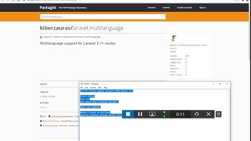 A language middleware that checks if user is using a valid locale