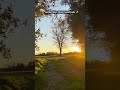 This Place Feels Like a Dream✨ | Golden Hour Countryside🌾 #nature #sunset #countryside #soulofnature