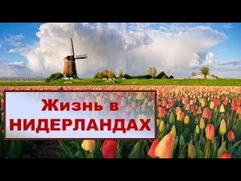 35 ФАКТОВ О ЖИЗНИ В НИДЕРЛАНДАХ