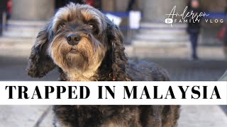 The Fight To Get Our Dog Out Of Malaysia | Travel Vlog