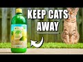 How to keep cats out of your yard out of flower beds and away from plants