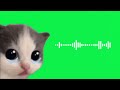 Emotional Meow 🐱🎶