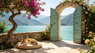 Peaceful Lake Garden with Sleeping Dog🌸Soft Piano & Bird Sounds [3 Hours] | Peaceful Garden Ambience screenshot 5