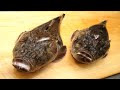 三島虎魚（ミシマオコゼ）のさばき方と刺身の作り方