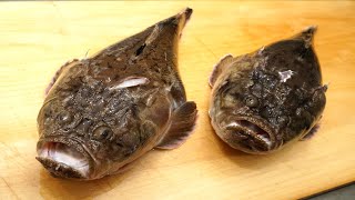 三島虎魚（ミシマオコゼ）のさばき方と刺身の作り方