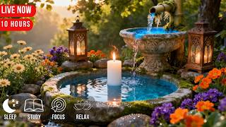 Silent Reflections of the Zen Pond – Emotional Cinematic Sleep Soundscape for Meditatio, Deep Rest