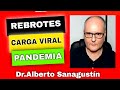 REBROTES , CARGA VIRAL Y LA PANDEMIA 🔴