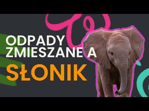 Co ODPADY ZMIESZANE mają wspólnego ze słoniem?