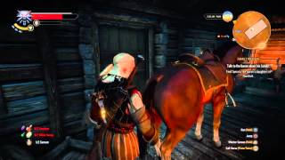 Celebrity The Witcher 3: Wild Hunt roach funny bug Profile