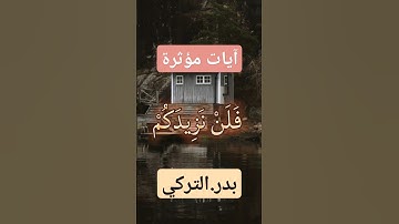 بدر التركي يتلو آيات مؤثرة من سورة النبأ بصوت خاشع🩶 #القرآن_الكريم #المصحف #رسول_الله #اكسبلور