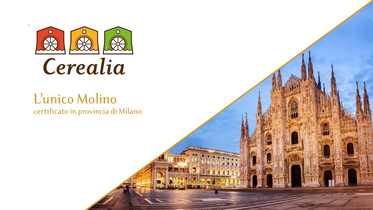 CEREALIA _ evento _  Le Farine dei Professionisti a casa Tua