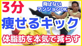 体脂肪を減らすトレーニング【痩せるキックダンス3分】自宅で運動しよう！