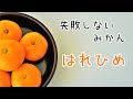 安価で美味しい！みかんなのにみかんで売られない柑橘【はれひめ】