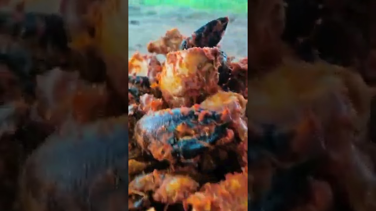 country CRAB catching and cooking in my village lake | 