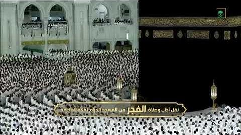 سورة التحريم فضيلة الشيخ بندر بليلة 