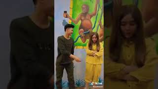 video tik tok saalhaerid