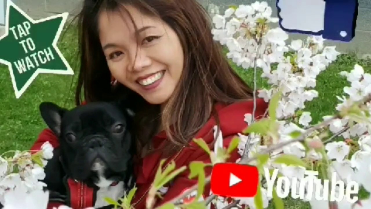 How to avoid copyright claim in You tube;It can be fixed.