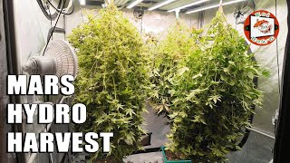 MY BIGGEST HARVEST YET | Mars Hydro FC EVO 4800 Light