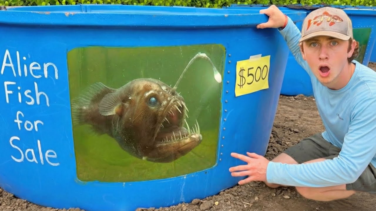 世界一珍しい宇宙魚を買ってみた！