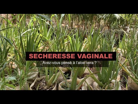 Sécheresse vaginale: avez-vous pensé à l’aloe vera?