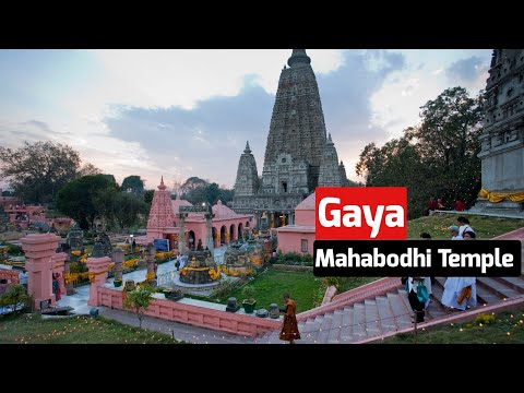 Video: Biharin Mahabodhi-temppeli Bodhgayassa ja kuinka vierailla siinä