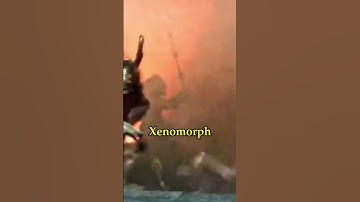 The Ultimate Battle Between Predator and Xenomorph.#moviereview #futurelink #predator