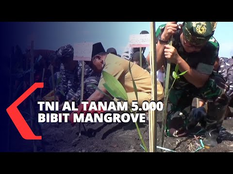TNI AL Tanam