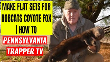 Make Flat Sets For Bobcat Coyote Fox | How To