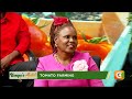 Kenya's Gold Chat | Tomato farming in Kenya