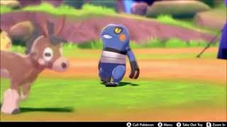 Croagunk Walk
