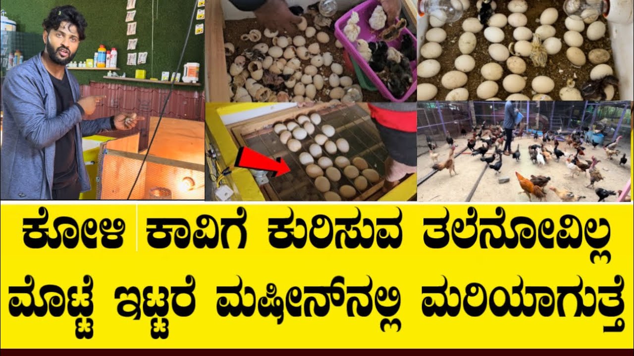 ಮೊಟ್ಟೆ ಇಟ್ಟರೆ ಸಾಕು ಮರಿಯಾಗುತ್ತೆ ಹಳ್ಳಿ ಯುವಕನಿಂದ ಸಾವಿರಾರು ಮಷಿನ್ ಮಾರಾಟ||Egg incubator machine