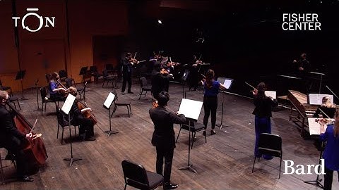 Vivaldi: Concerto for Strings in G Minor, RV 156 | The Orchestra Now