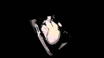 Virtual Journey Through the Heart